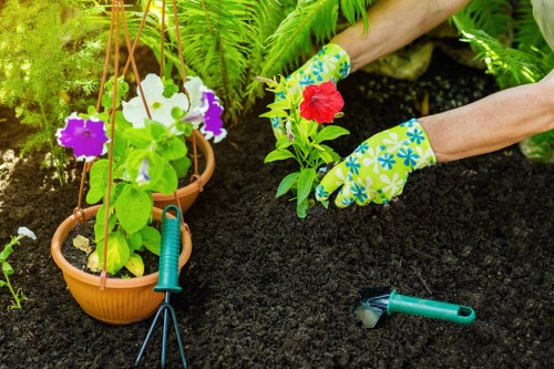 Seasonal lawn maintenance for South Norwood gardens