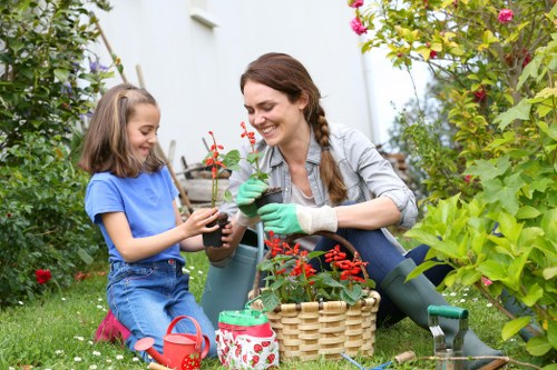 Planning a landscape gardening project in South Norwood