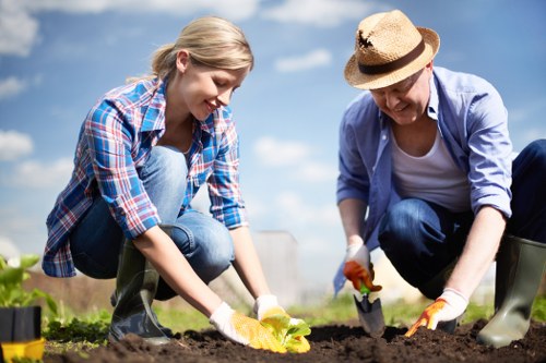 Professional lawn mowing in a South Norwood home garden