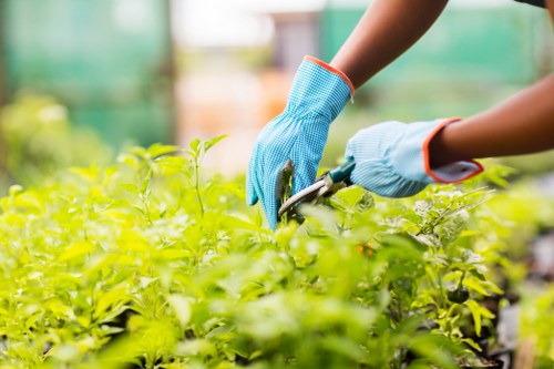 Gardening services terms and conditions introduction