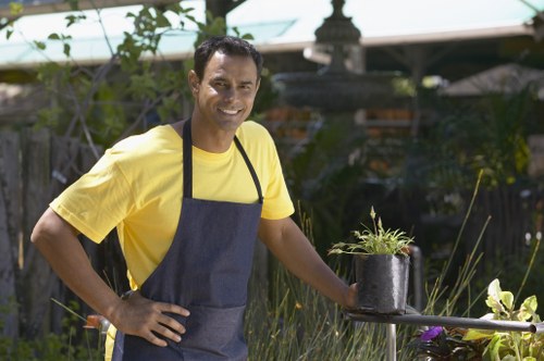Lawn maintenance and planting in a South Norwood garden