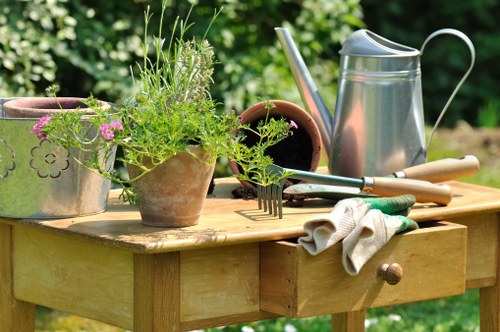 Gardeners in South Norwood providing local outdoor care