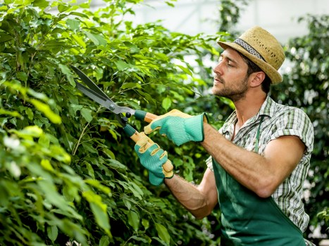 Encrypted transaction illustration for South Norwood gardening payments