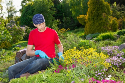 Reliable Gardeners South Norwood supporting healthy gardens
