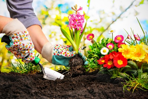 Risk assessment for gardening work and equipment safety