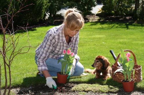Liability and customer responsibilities in garden work