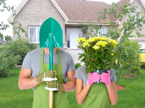 South Norwood garden maintenance and planting support