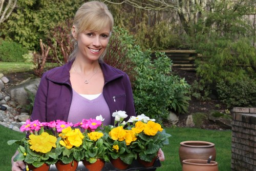 Service standards and complaints handling in gardening