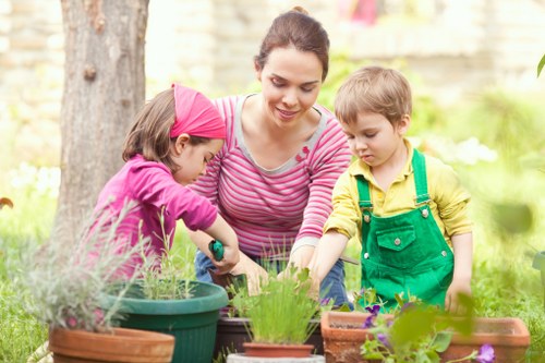 Professional lawn care results for a South Norwood garden