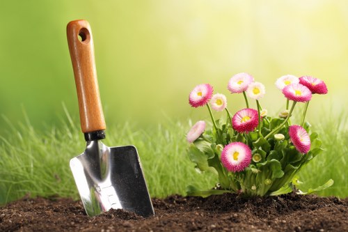 Gardening work in South Norwood for a neat outdoor space
