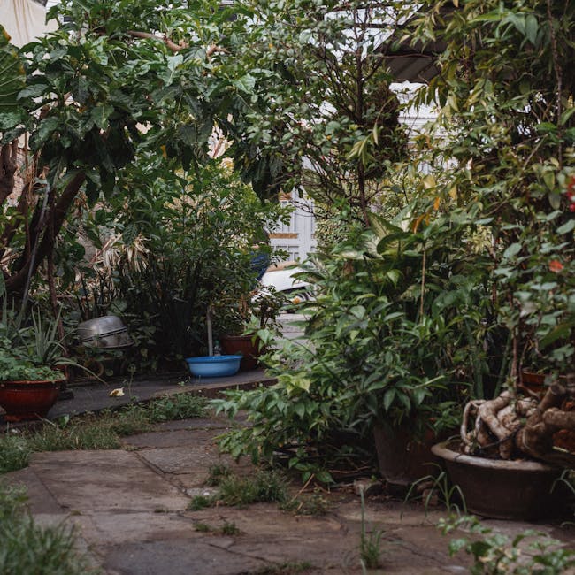 Best gardeners for Norwood Junction homes and patios